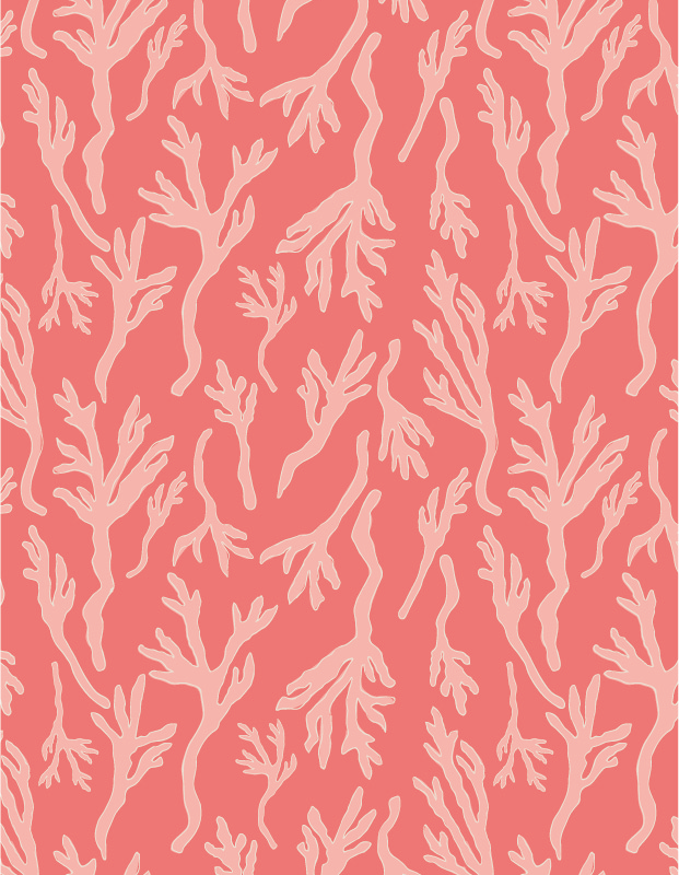 Seaweed notecard design in ocean sunset colours