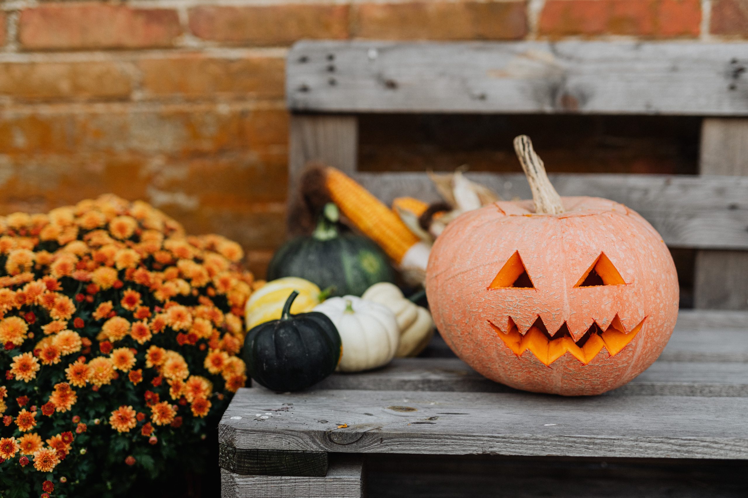 Pumpkins on a bench provide inspiration